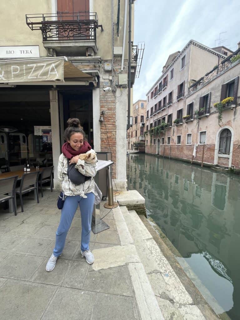 Traveling to Italy with Your Dog: Quarantine Rules, Cost, and More