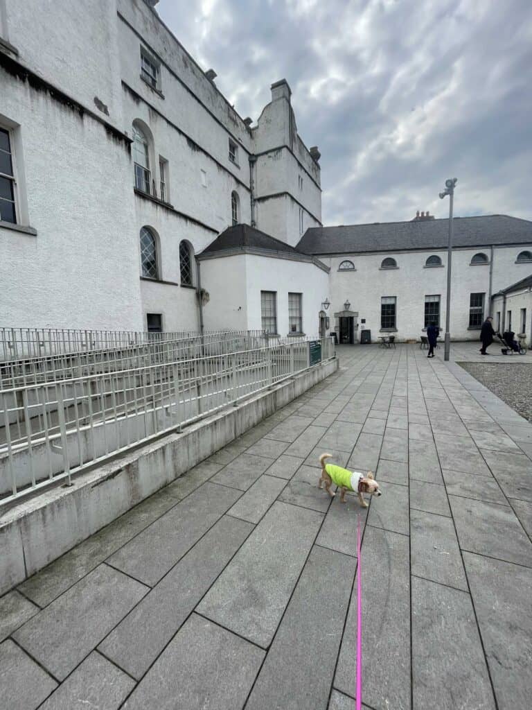 Small dog travel accessories: Sheila walking around a castle in Dublin