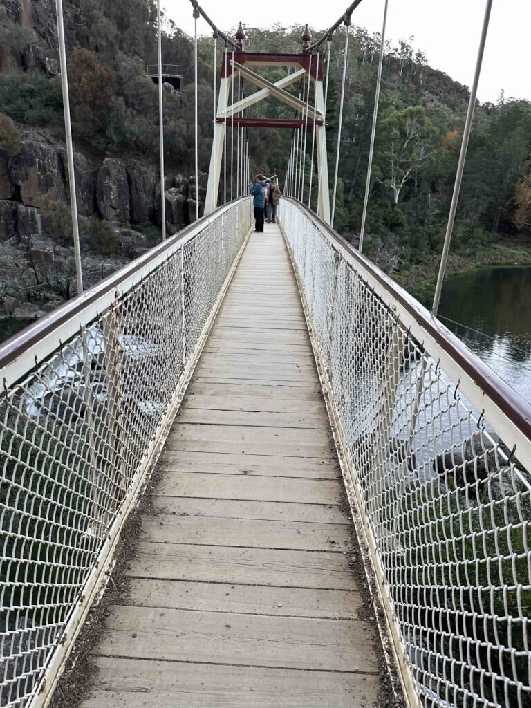 A view from the suspension bridge on cataract gorge