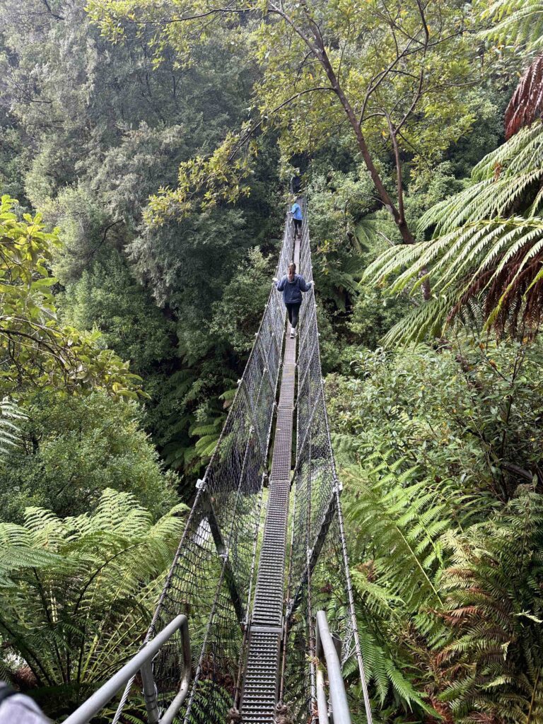 The group hiking across the suspension Bridge in Tarkine Forest in Tasmania_ Under Down Under Tours 